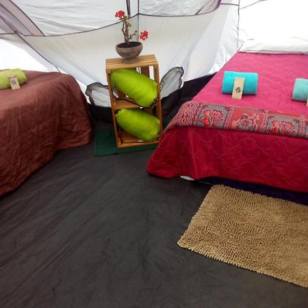 Camping & Travel Antigua Exteriör bild