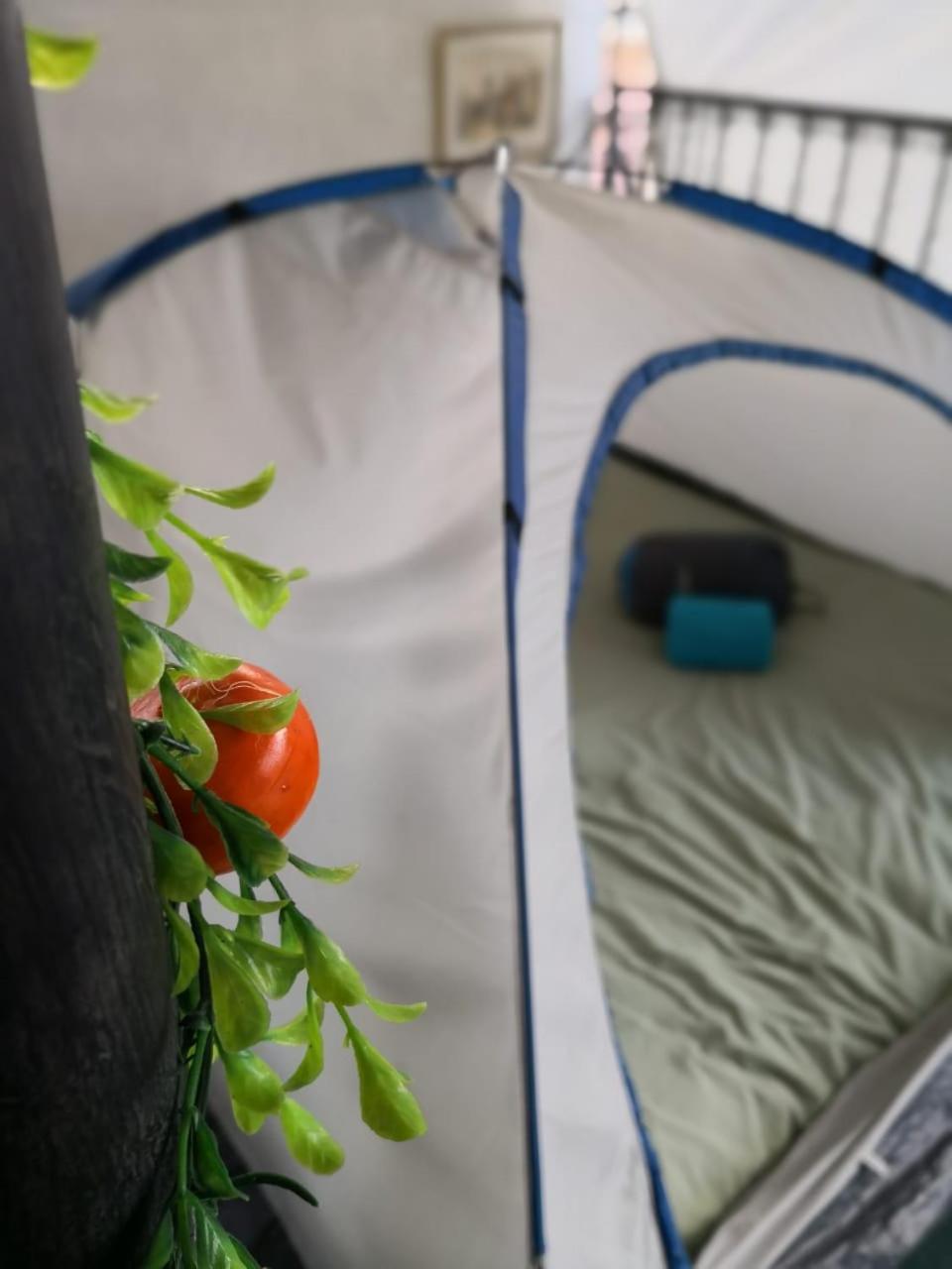 Camping & Travel Antigua Exteriör bild