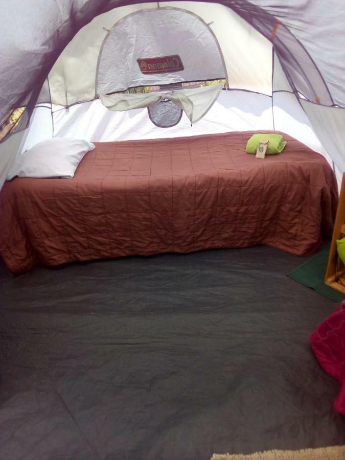 Camping & Travel Antigua Exteriör bild
